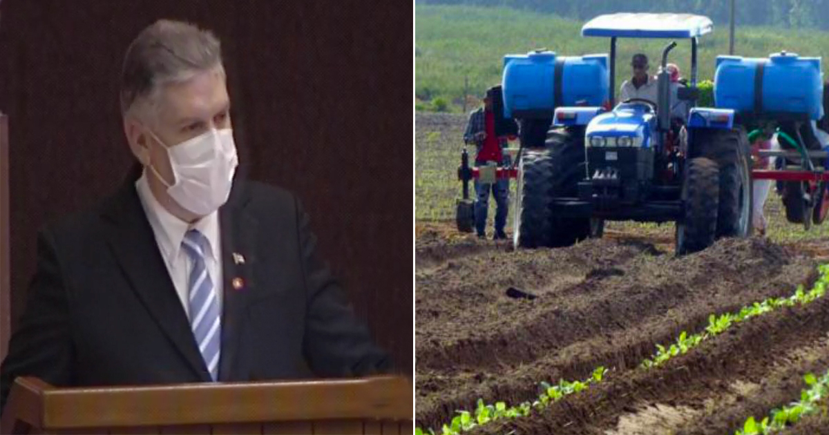 Ministro de Economía Alejandro Gil / Tractor para la agricultura © Facebook (Captura de video) / Granma