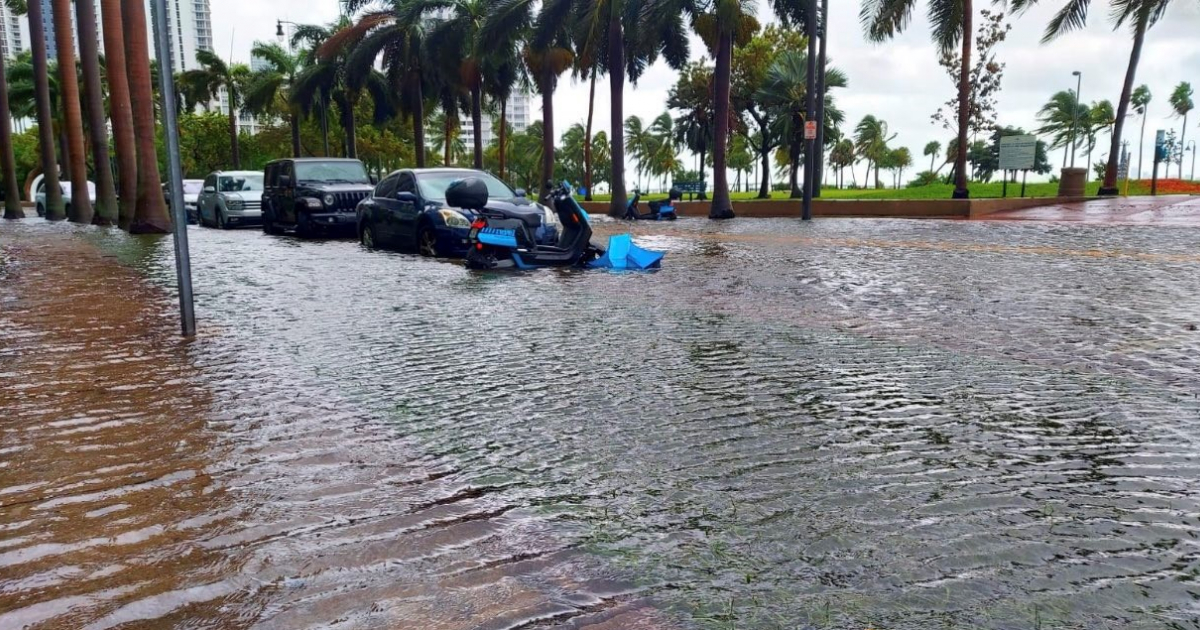 Inundaciones en Miami por Eta © Twitter / @FreddieCruz16