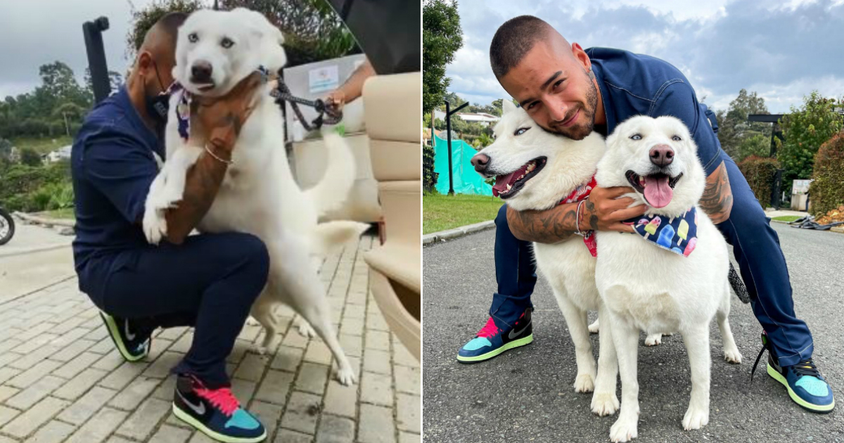 Maluma se reencuentra con sus perros Bonnie y Clyde © Instagram / Maluma