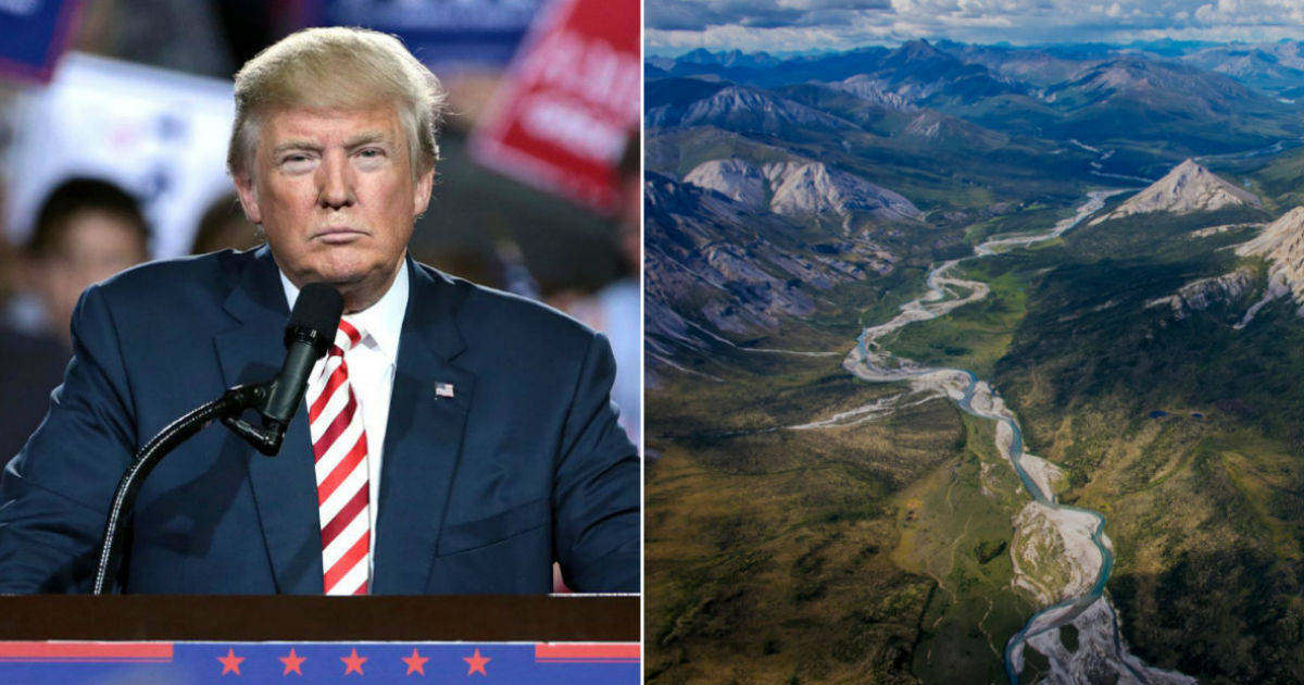 Donald Trump (i) y Imagen aérea del Refugio de Vida Silvestre de Ártico © Collage Wikimedia - Nrdc.org