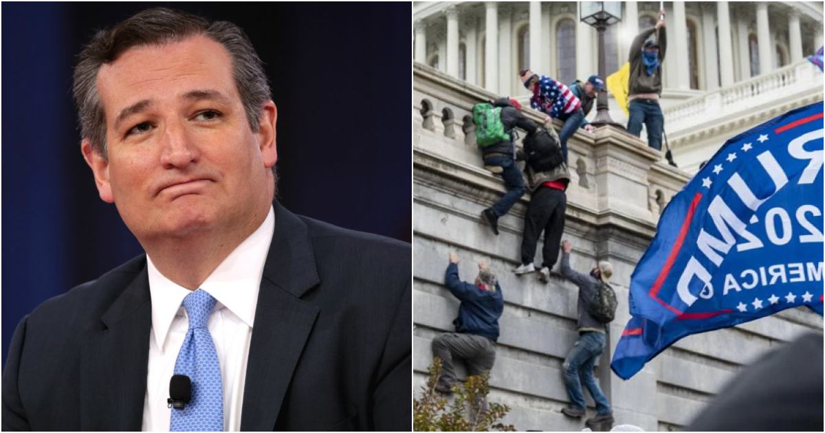 Ted Cruz y asaltantes del Capitolio © Collage de Flickr / Gage Skidmore y Blink O'Fanaye