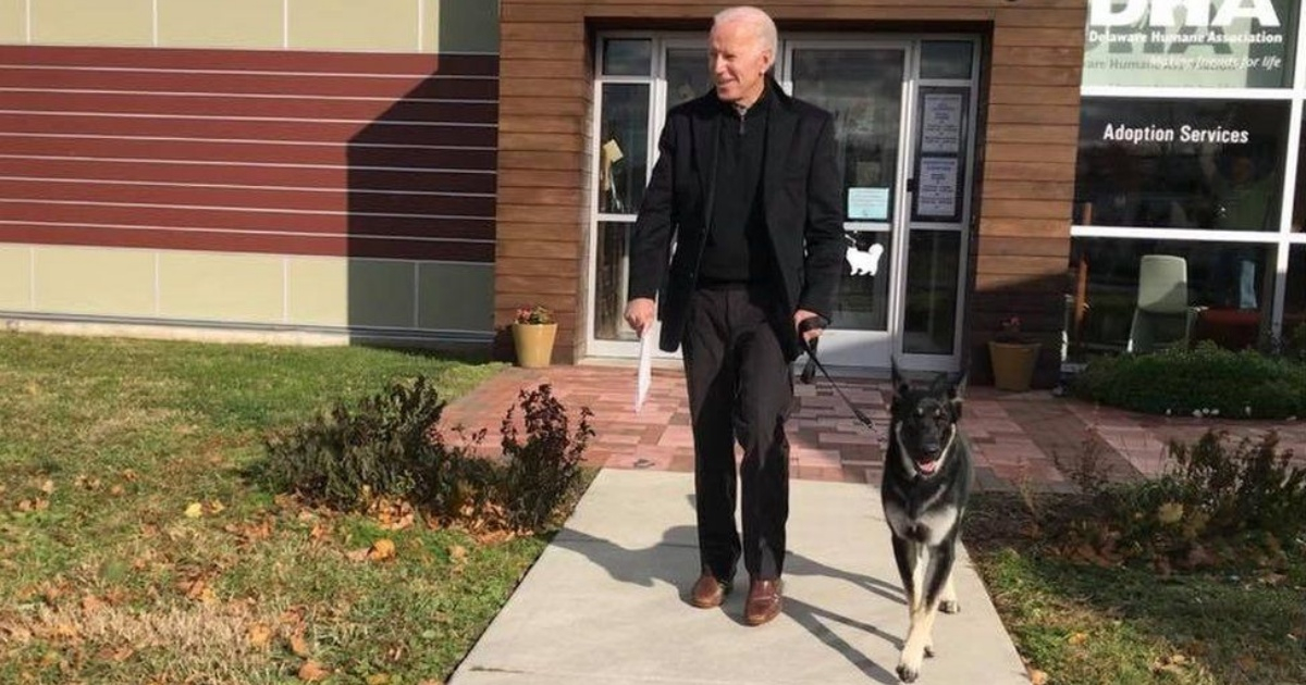 Joe Biden junto al pastor alemán que adoptó en su natal Delaware © Delaware Humane Association
