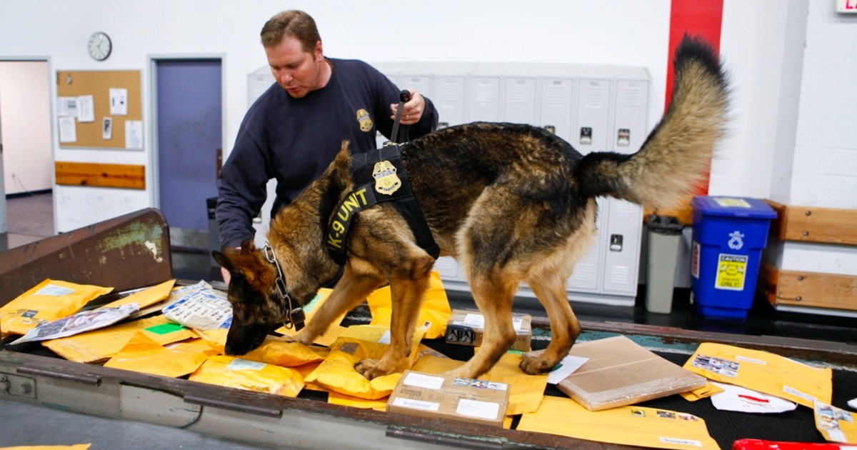 Agente de Seguridad Nacional rastrea correspondencia en busca de explosivos © DHS