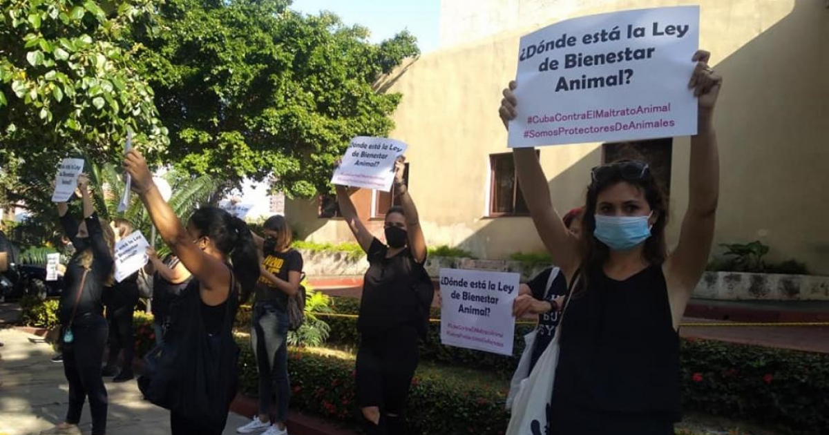 Beatriz Batista junto a otras animalista frente al Ministerio de la Agricultura © Beatriz Batista/ Facebook