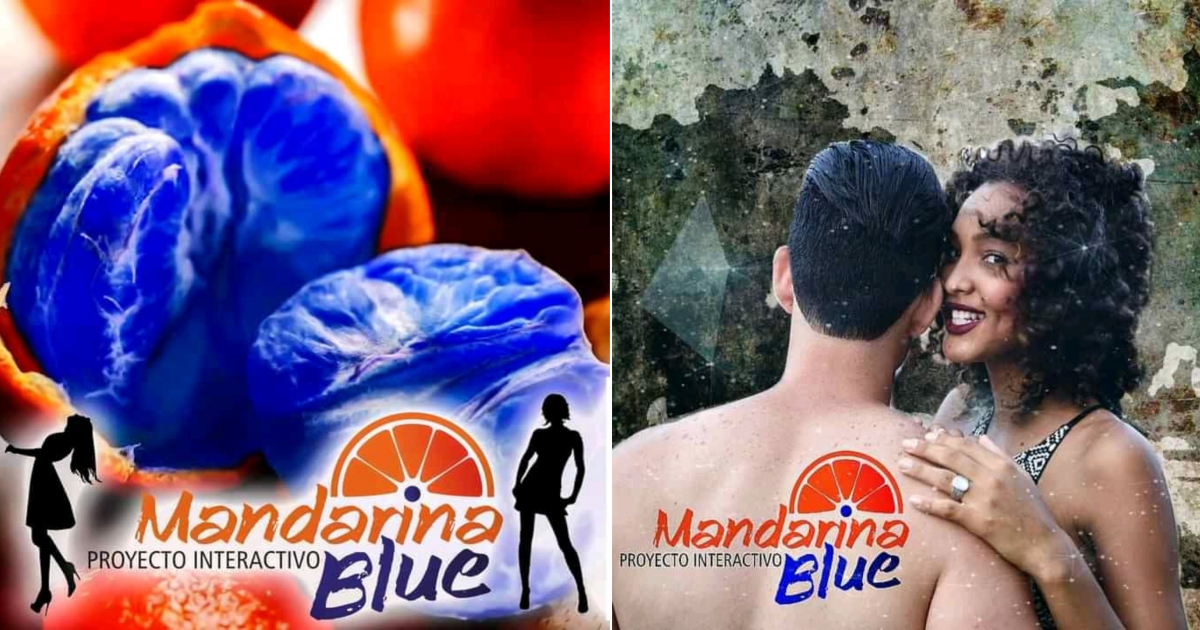 Anuncios del proyecto Mandarina Blue, cuyos miembros no recibieron pago por desempleo durante la pandemia © Facebook / Mandarina Blue