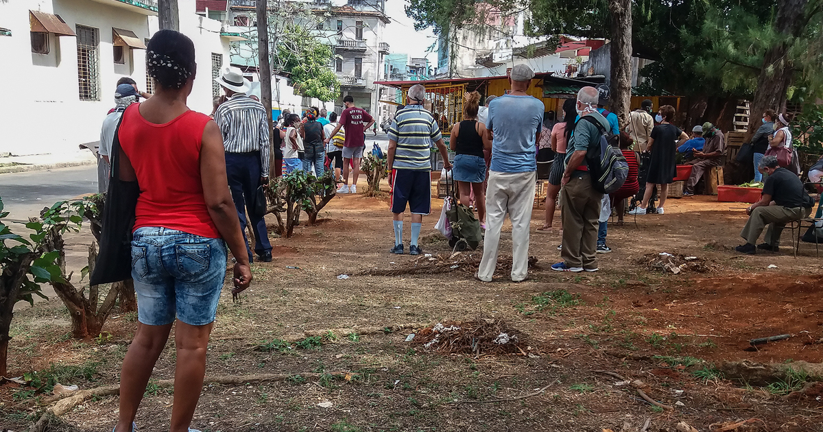 Cubanos haciendo cola para comprar alimentos © CiberCuba