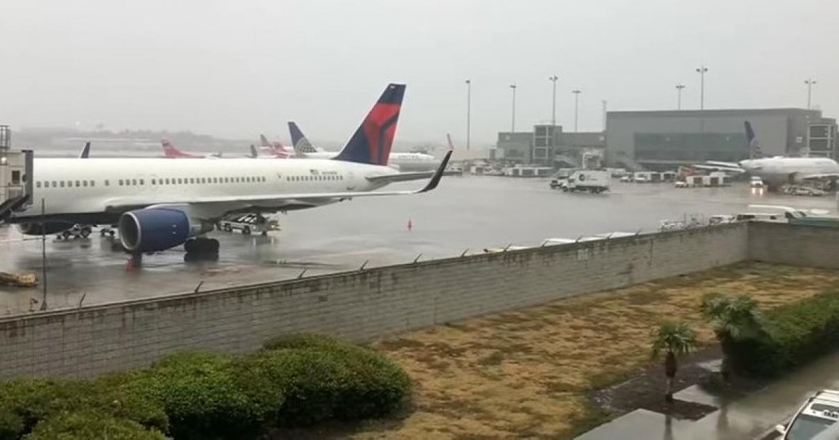 Aeropuerto de Florida (Imagen de referencia) © Captura de video de YouTube de WPLG Local 10