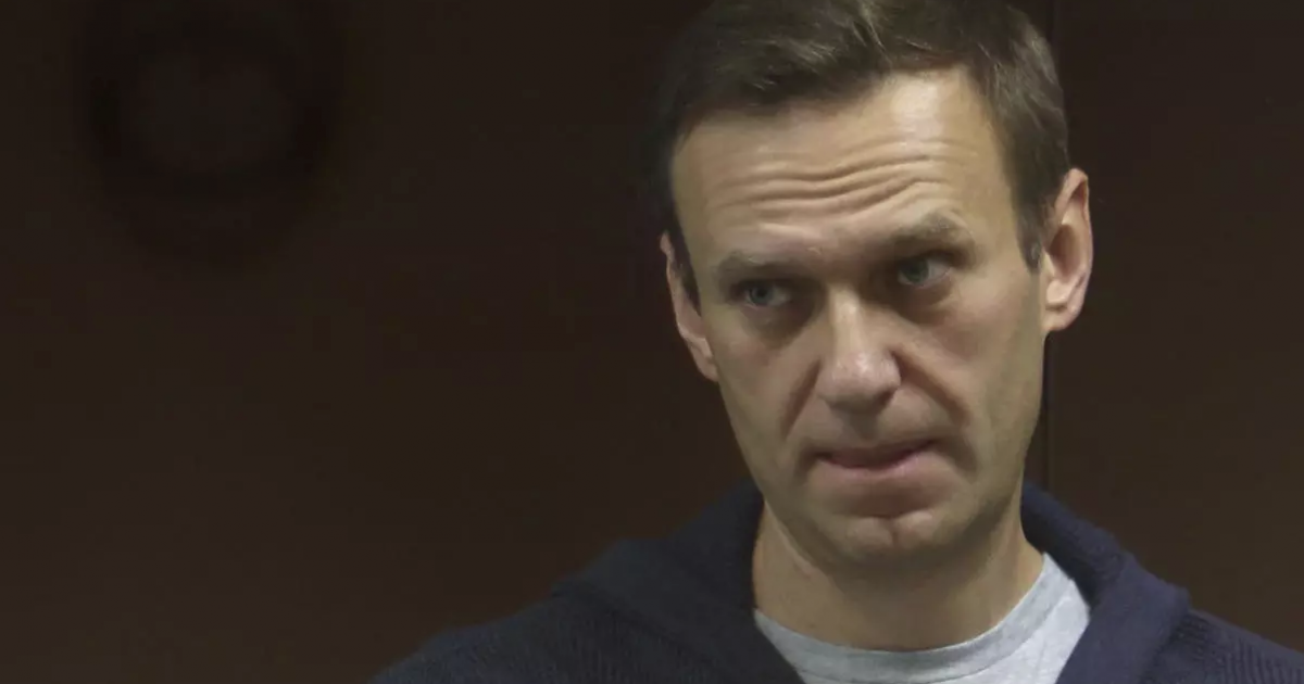 Alexei Navalny © Screenshot video Twitter/Kira Yarmysh