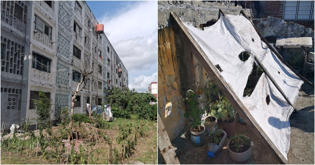 Imágenes tomadas en patios y viviendas de Santiago de Cuba © CiberCuba
