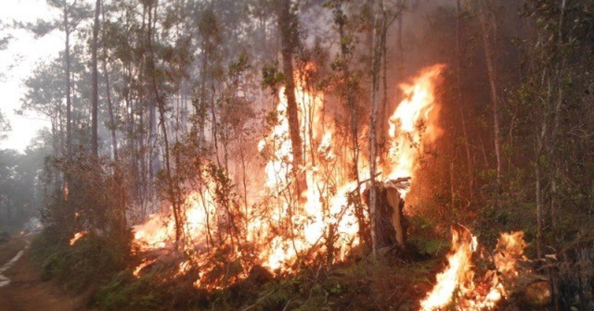 incendio en Parque Nacional Alejandro de Humboldt © Venceremos/Cortesía CITMA