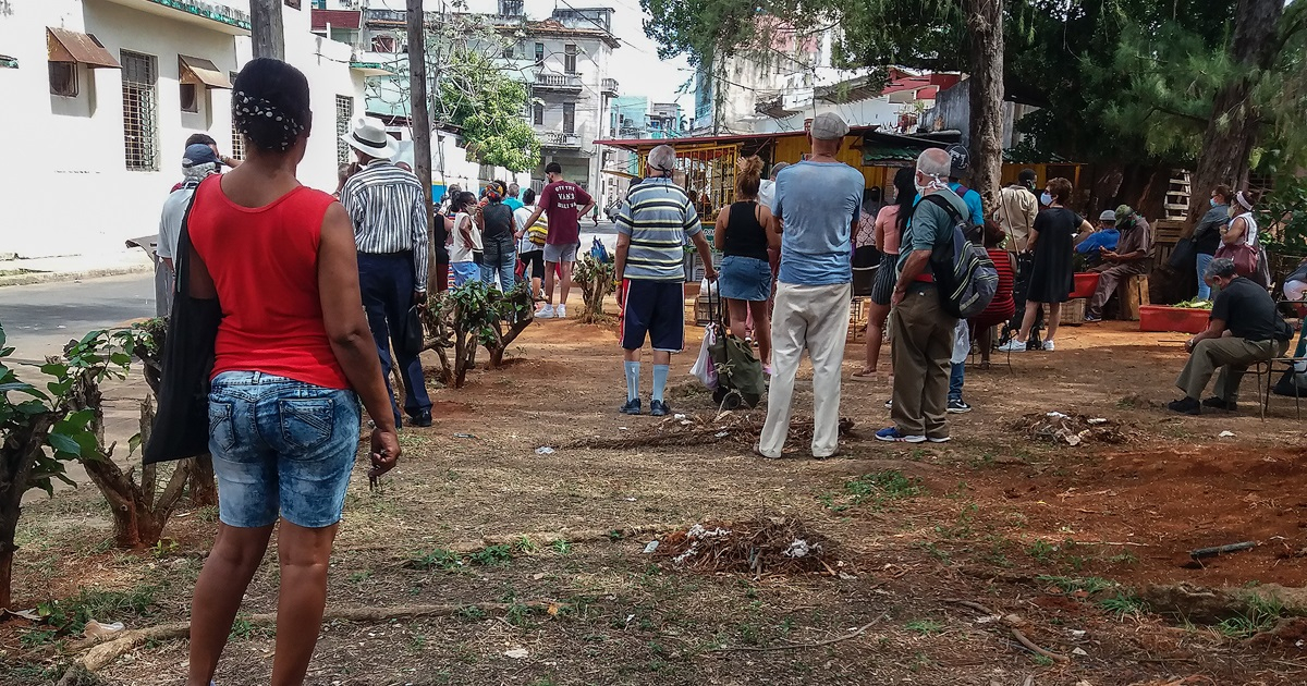Cola para comprar alimentos en La Habana (imagen de referencia) © CiberCuba
