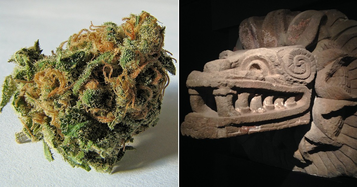 Cogollo de marihuana y escultura del dios azteca Quetzalcóatl © Wikipedia