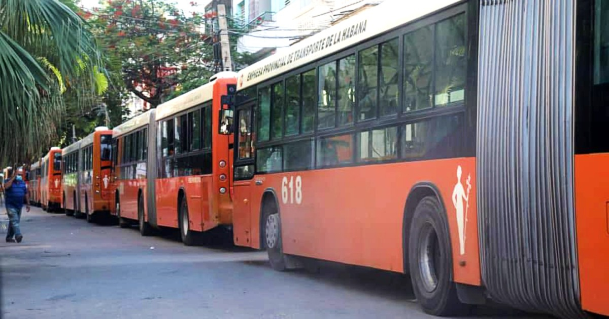Autobuses trasladan a manifestantes progubernamentales © CubaNet