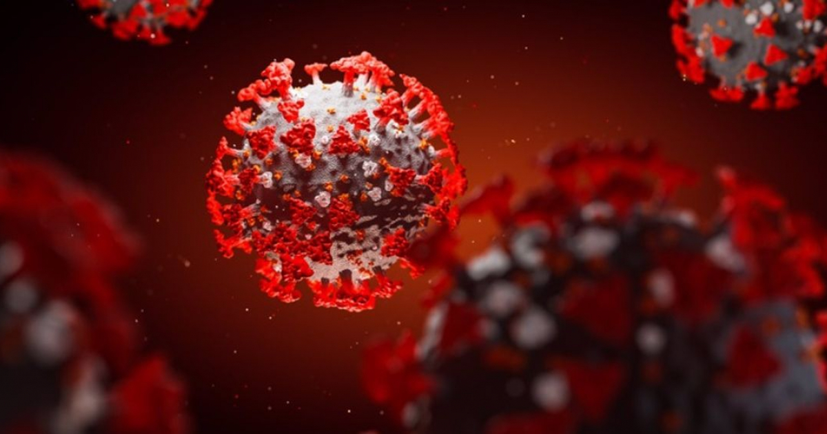 Modelo del coronavirus en 3D © OMS Website