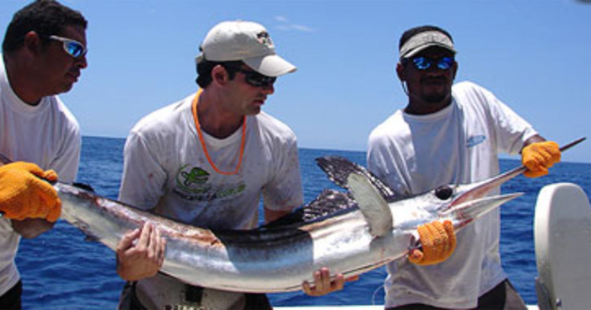 Turismo en Cuba: Celebrarán torneo internacional de pesca en Jardines del  Rey