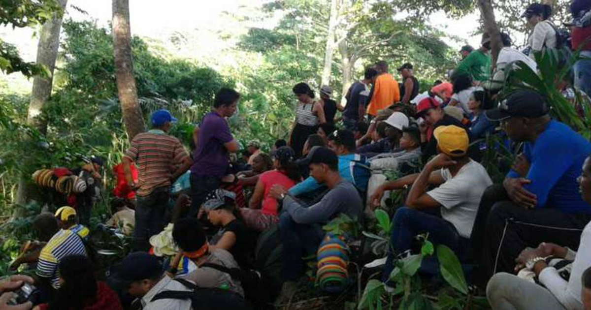 Caravana de migrantes en la Selva del Darién © Twitter/Diario Panorama