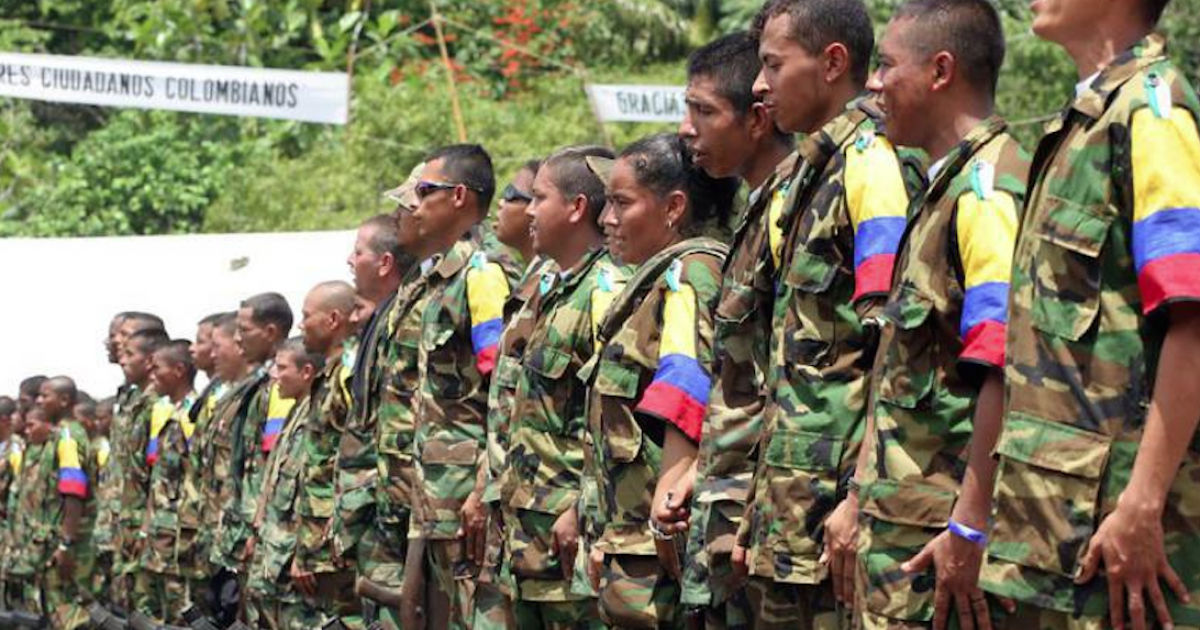 Guerrilleros de las FARC © Twitter/Radio Caracol