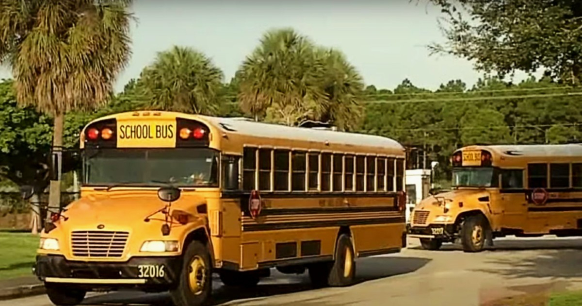 Autobuses escolares en Miami (imagen de referencia) © Captura de video / America TeVe Canal 41
