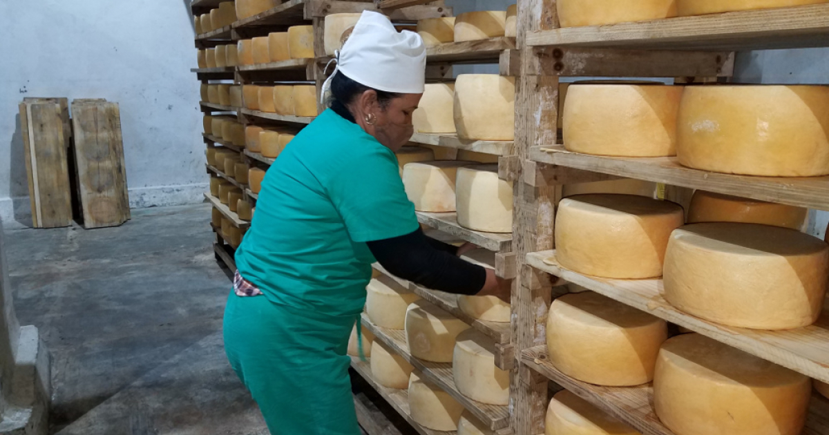 Producción de fábrica de queso en Camagüey se vende en MLC. © Radio Cadena Agramonte/Pedro Paneque Ruiz