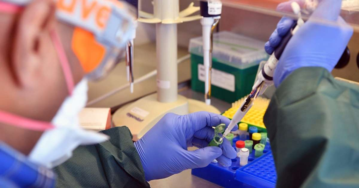 Examen de PCR (imagen de referencia) © Flickr / IAEA Imagebank