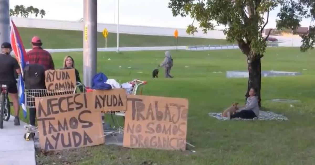 Lugar en que están acampados los dos inmigrantes cubanos © Captura de Telemundo51