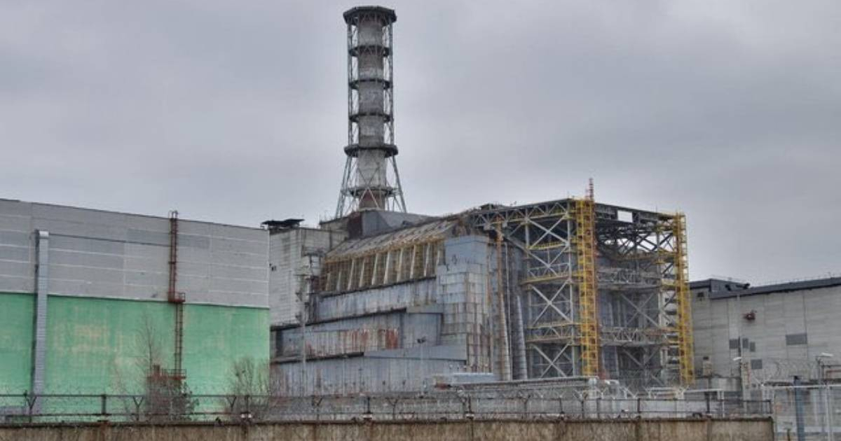 Planta en Chernobil © Twitter @askomartin