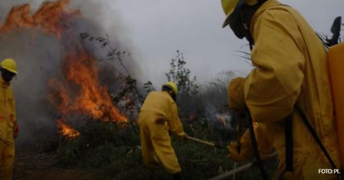 Incendio forestal en Pinar del Río. © Prensa Latina
