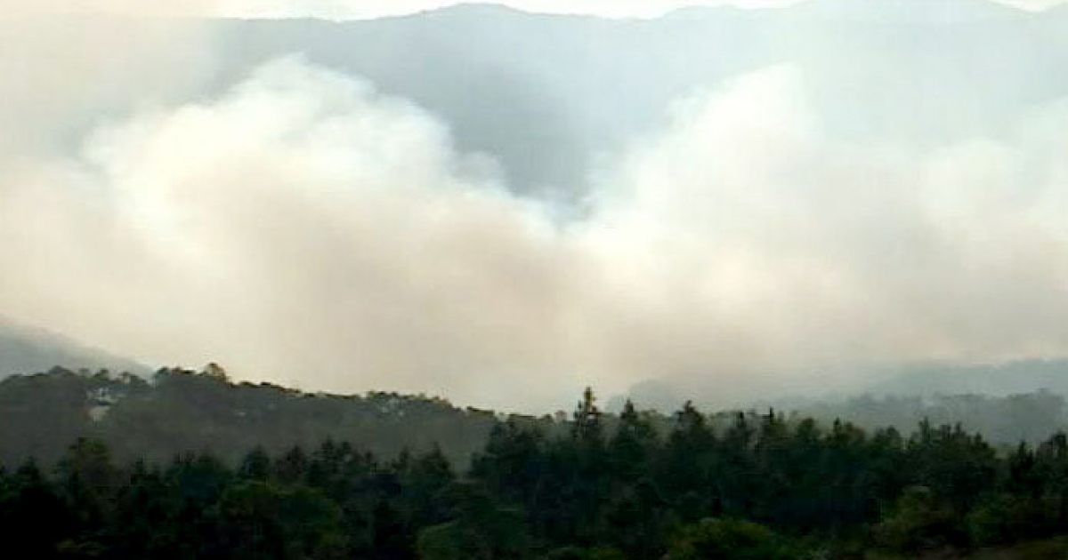 Extinguen Incendio Forestal en Pinar del Río, Cuba © Facebook Delegación Provincial Agricultura Pinar del Río