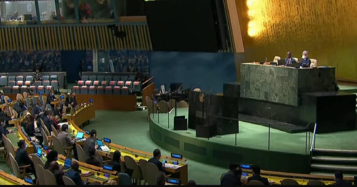 Consejo de Derechos Humanos ONU © Captura de pantalla / CBC News