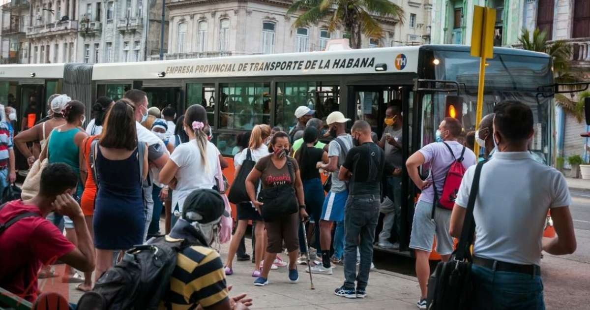 Transporte público en La Habana © Alma Mater / Elio Miranda