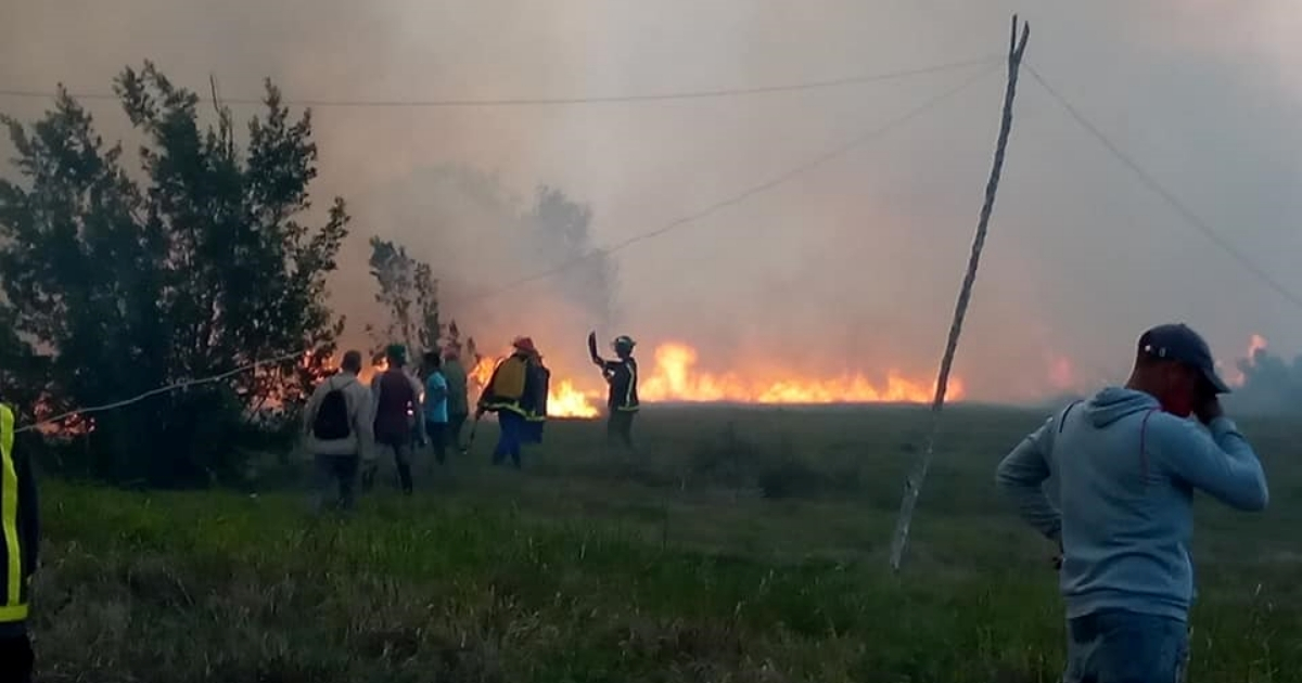 Incendio de grandes proporciones en área protegida de Mayabeque © Facebook / Terina Garcia Davis