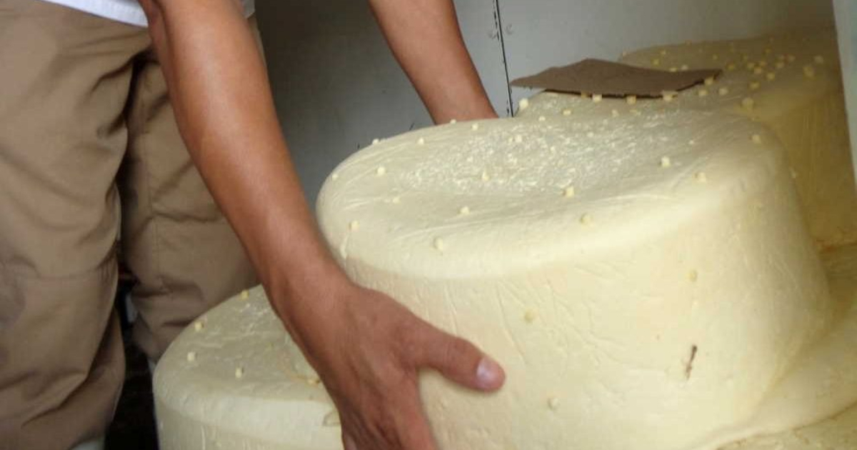Producción de queso blanco en Sancti Spíritus © Escambray/ Vicente Brito 