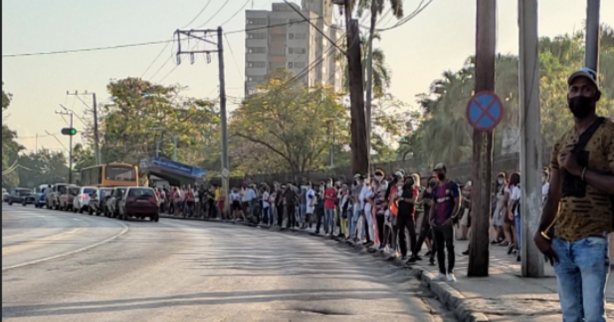 Cubanos se aglomeran en paradas © Twitter/Céspedes