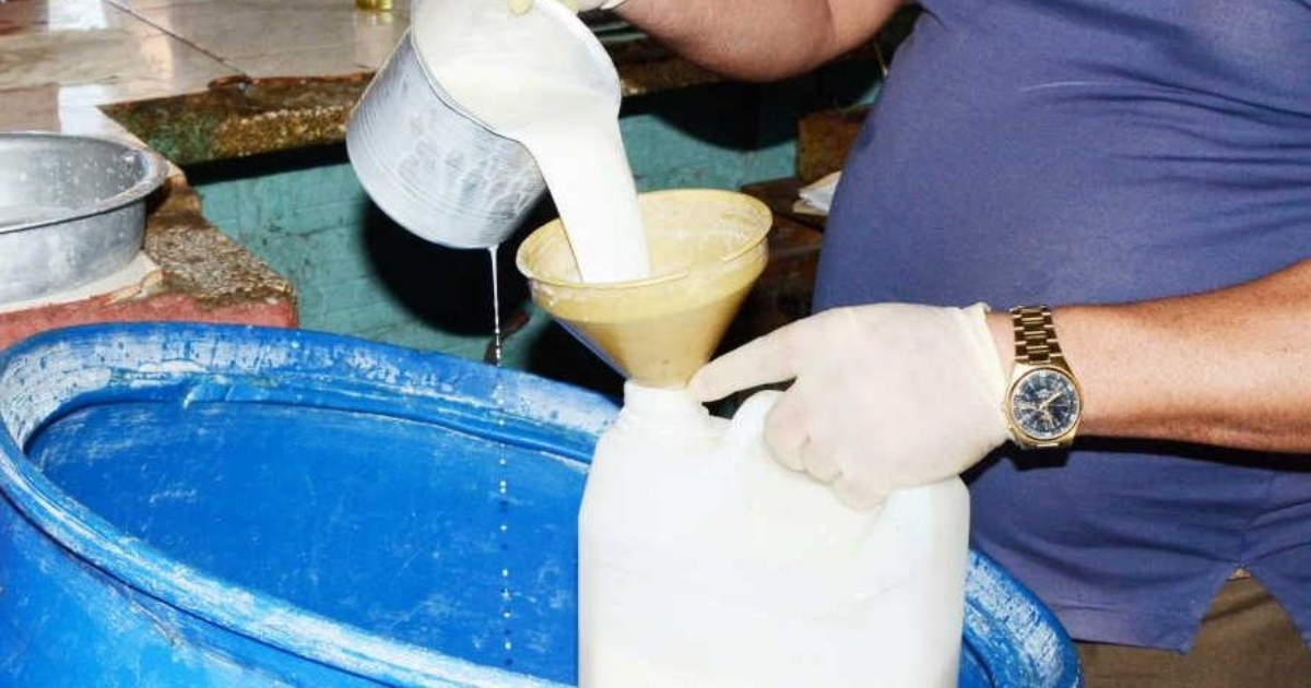 Distribución a granel de yogur en Sancti Spíritus © Escambray / Vicente Brito