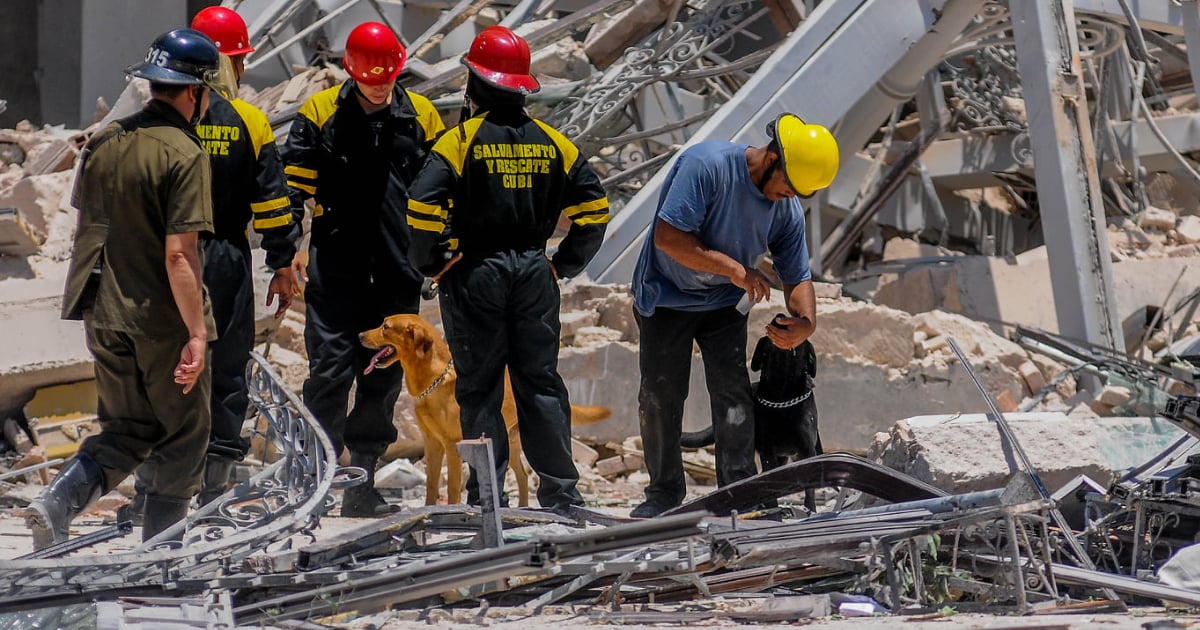 Perros de la Brigada Canina en la zona de la explosión © Facebook / Granma