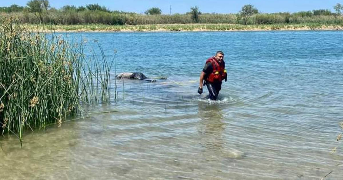 Rescatan cuerpo de un presunto inmigrante ahogado en el río Bravo © Facebook Mario Alvarado