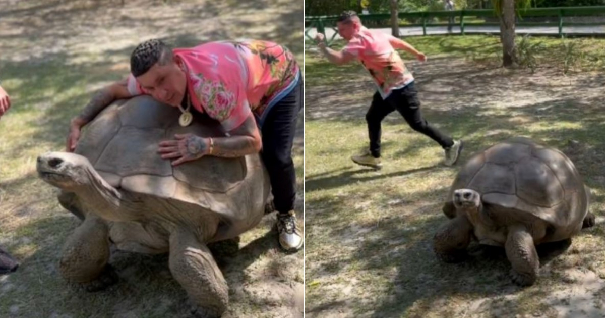 Osmani García en el zoológico de Miami © Instagram del artista