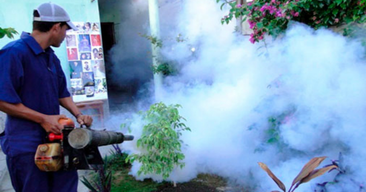 Un inspector fumiga contra los mosquitos © Trabajadores 