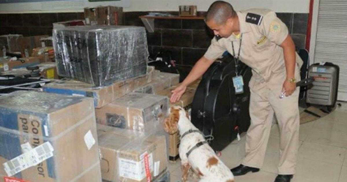 Agente de Aduana de Cuba y perro detector de drogas (Imagen de referencia) © Invasor
