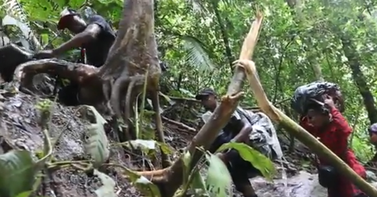 Migrantes atraviesan la selva del Darién © Captura de video