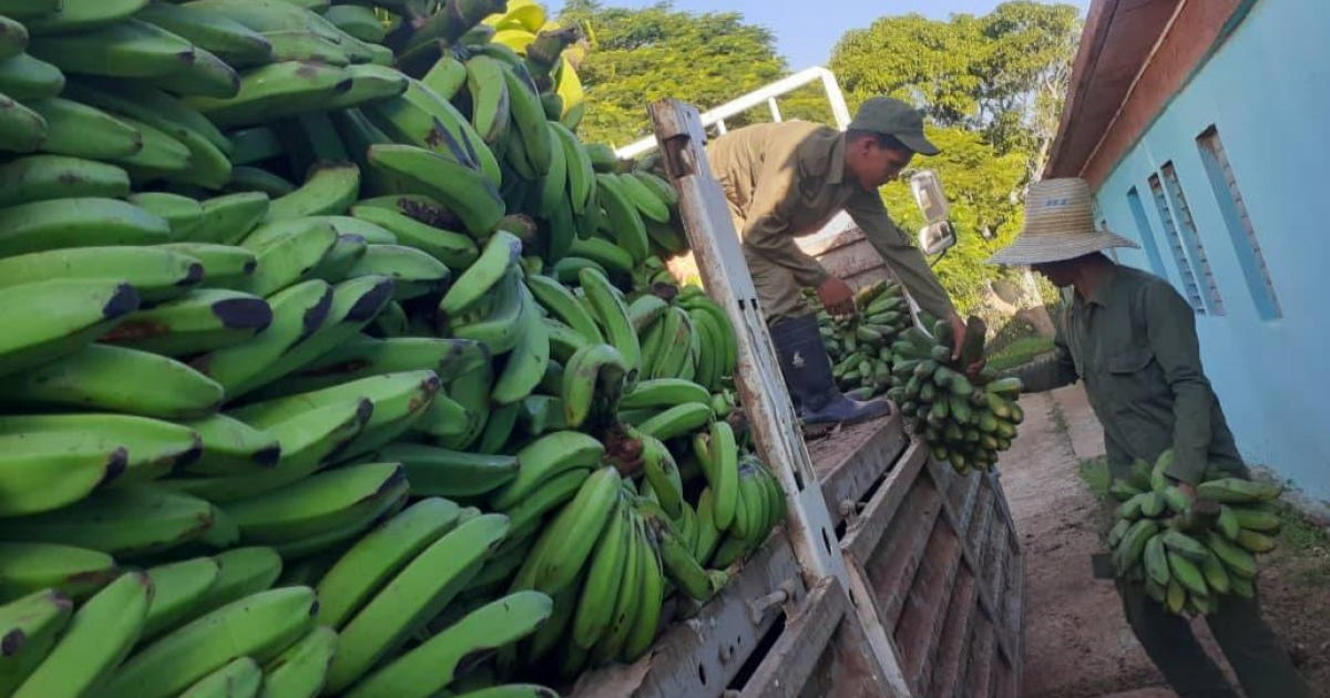 Llegada a Matanzas de productos agropecuarios © Radio26 Emisora Matanzas Cuba / Facebook