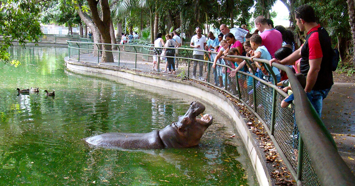 Zoológico de 26 en La Habana © CiberCuba
