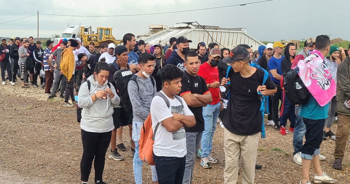 Masivo grupo de migrantes en los que viajaban cubanos. © Twitter/Jorge Ventura Media