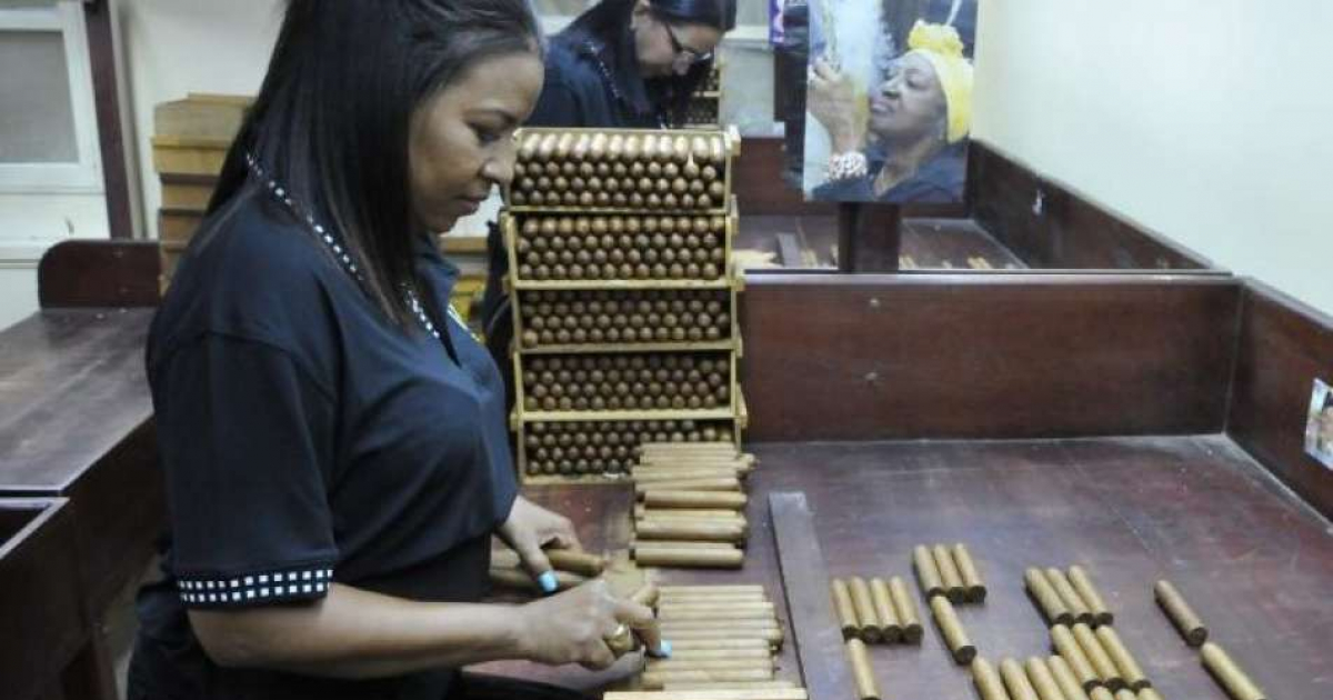 Trabajadora de la fábrica de tabaco El Laguito © Granma / Ismael Batista Ramírez
