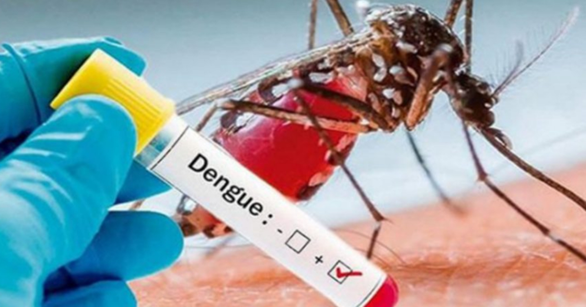 Prueba de dengue (imagen de referencia) © MINSAP