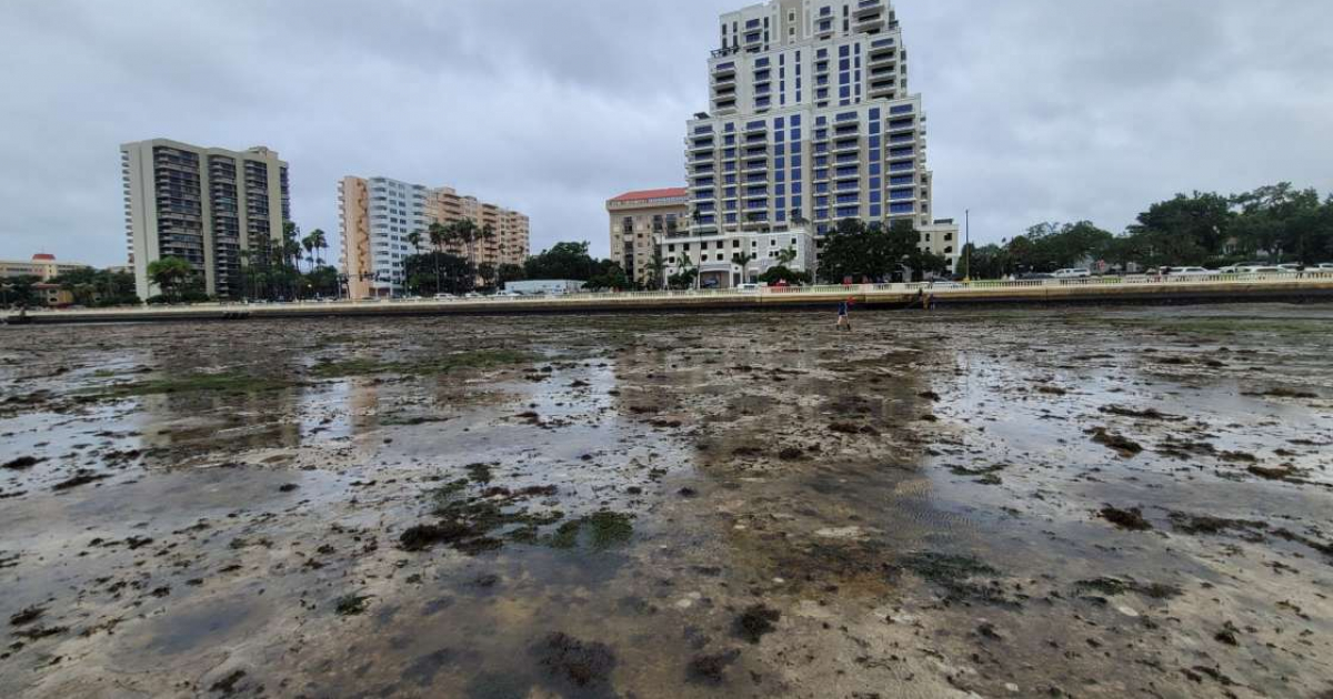 Bahía de Tampa vacía ante avance de huracán Ian © Gustavo Valdés / Twitter