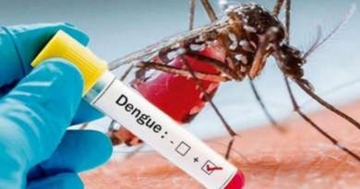 Prueba de dengue (imagen de referencia) © MINSAP