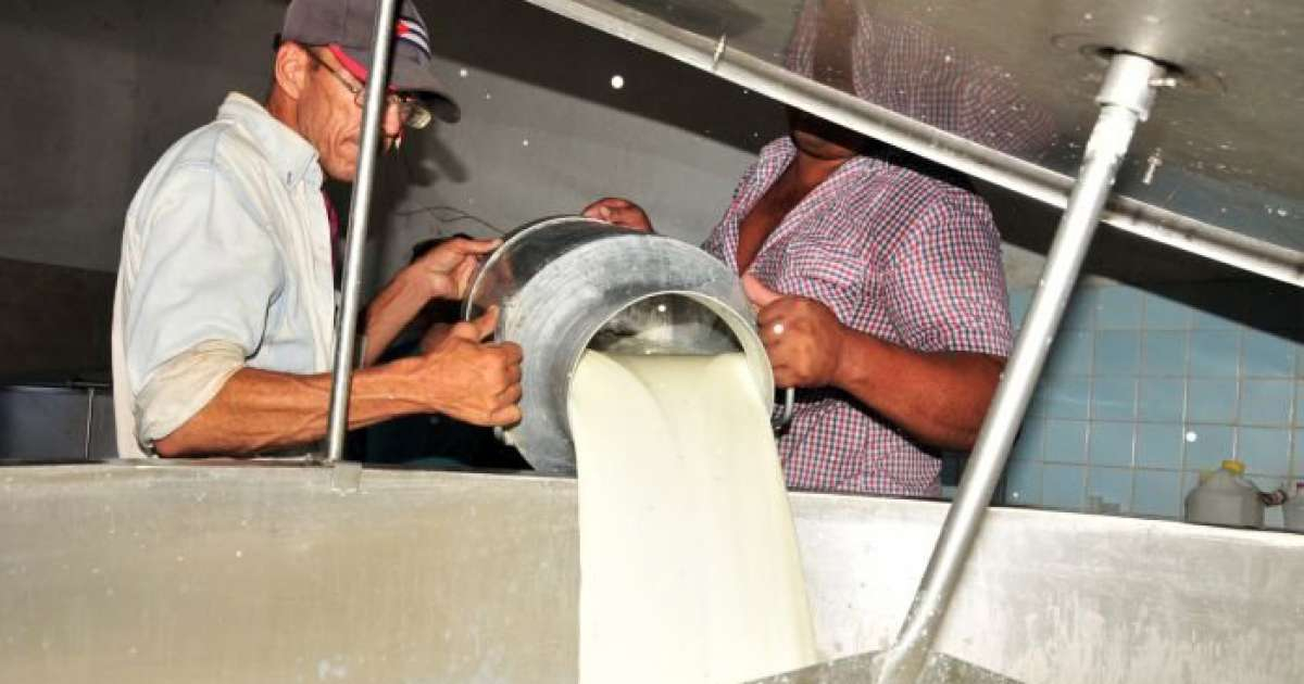 Producción de leche en Cuba (imagen de referencia) © Escambray