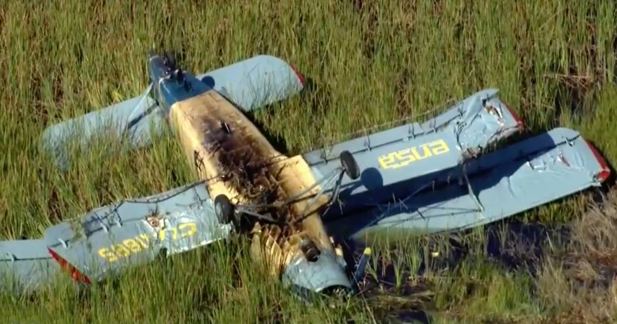 AN-2 colapsado en los Everglades © Captura de video / 7 News Miami