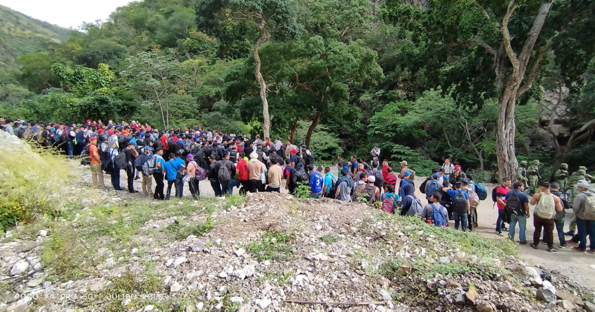 Grupo de inmigrantes detenidos en México © Twitter / INM